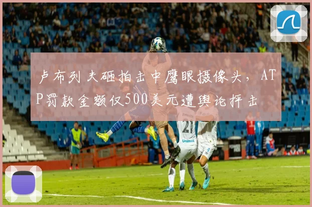 卢布列夫砸拍击中鹰眼摄像头,ATP罚款金额仅500美元遭舆论抨击